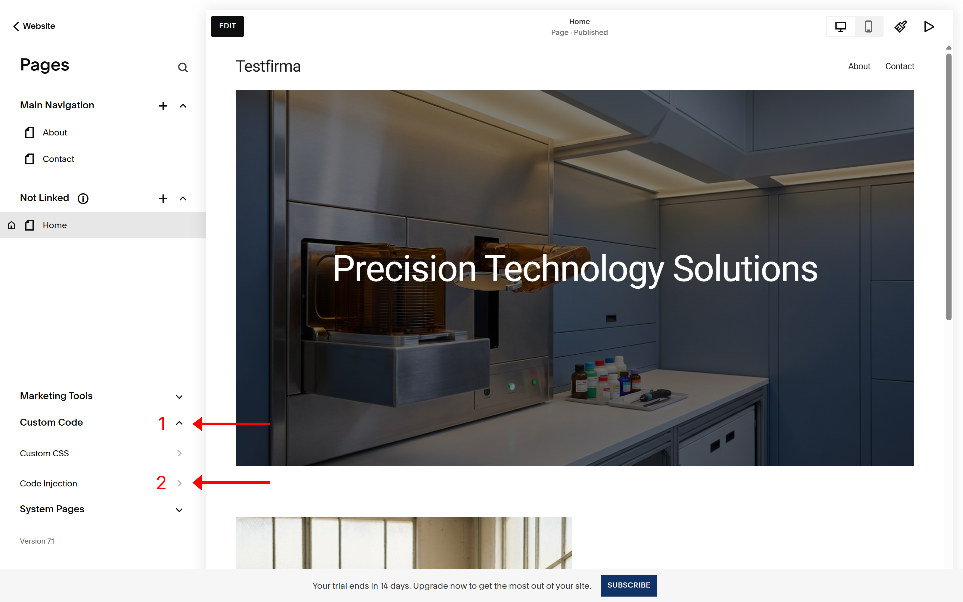 Seksjonen Custom Code utfoldet med valgene Custom CSS og Code Injection